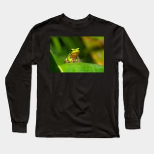 Dwarf Tree Frog, Montville Queensland Long Sleeve T-Shirt